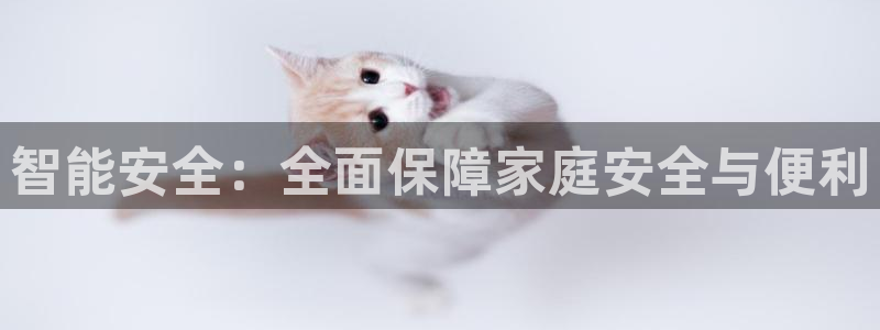 利记的官网：智能安全：全面保障家庭安全与便利