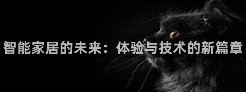 sbobet利记官网登录入口：智能家居的未来：体验与技术的新