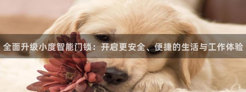 利记网官网网址：全面升级小度智能门锁：开启更安全、便捷的生活