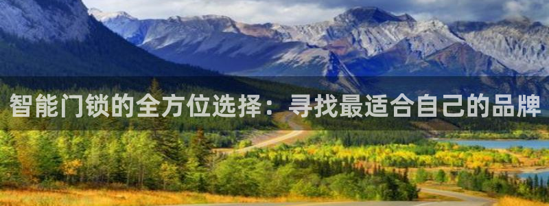 利记真正的官网是多少：智能门锁的全方位选择：寻找最适合自己的