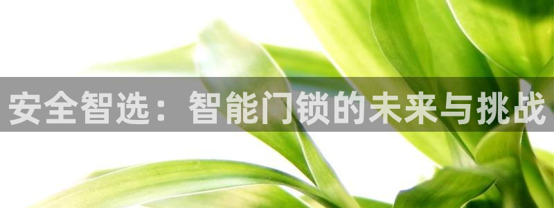 SBOBET利记官网：安全智选：智能门锁的未来与挑战