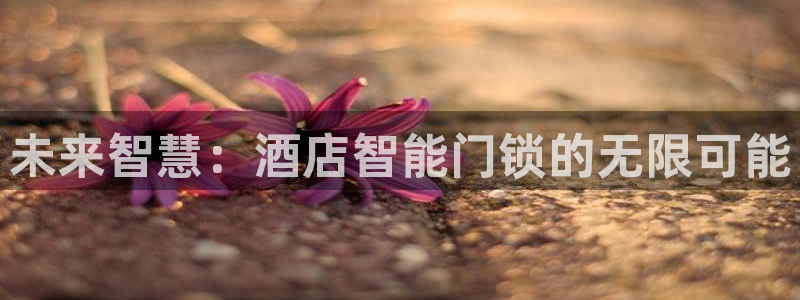 利记 官网：未来智慧：酒店智能门锁的无限可能