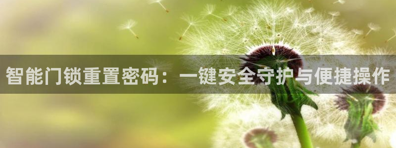 利记娱乐网唯一官网：智能门锁重置密码：一键安全守护与便捷操作