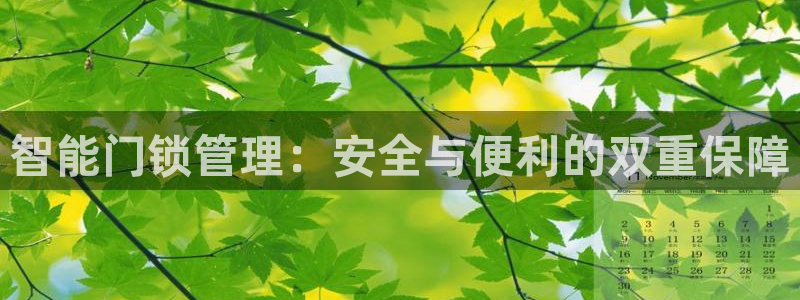 利记坊官网登录：智能门锁管理：安全与便利的双重保障