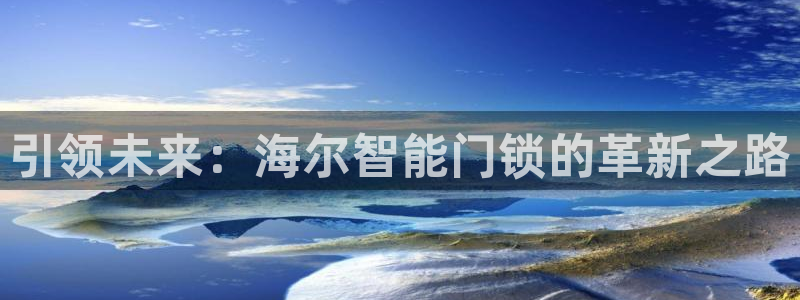 利记彩票平台官网：引领未来：海尔智能门锁的革新之路