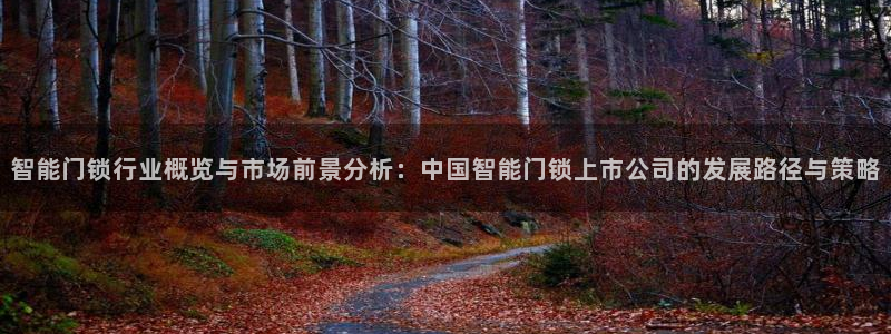利记坊官网登录：智能门锁行业概览与市场前景分析：中国智能门锁