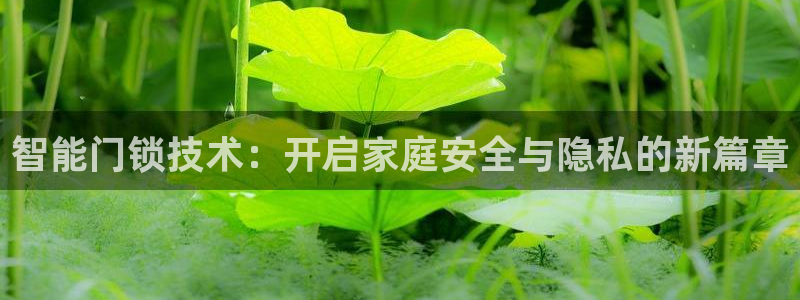 188bet注册利记官网app：智能门锁技术：开启家庭安全与