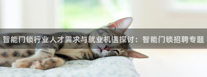 利记正式官网：智能门锁行业人才需求与就业机遇探讨：智能门锁招