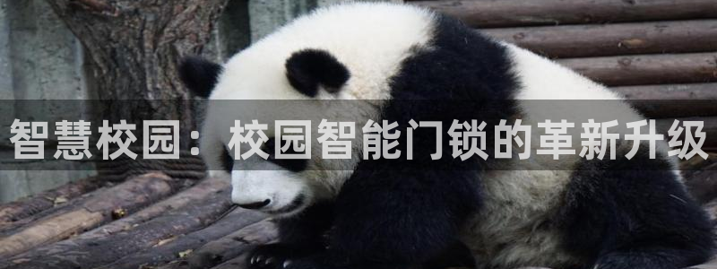 利记官网官方网址：智慧校园：校园智能门锁的革新升级