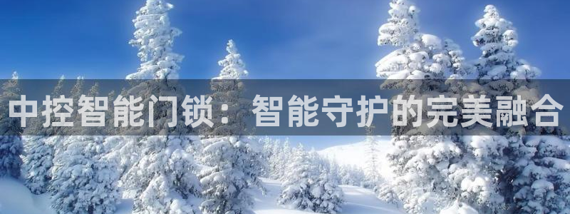 利记手机官网银河网：中控智能门锁：智能守护的完美融合
