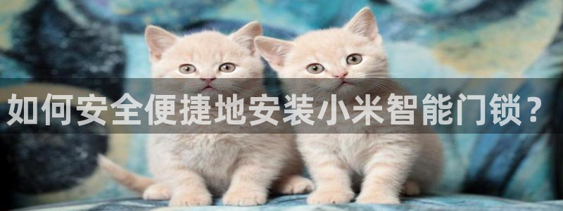 利记娱乐会员金钻官网：如何安全便捷地安装小米智能门锁？