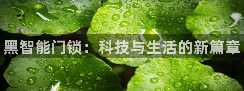 利记app官网真人游戏