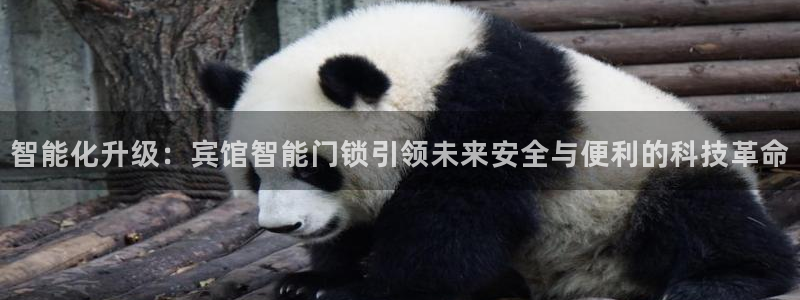 利记信誉官网