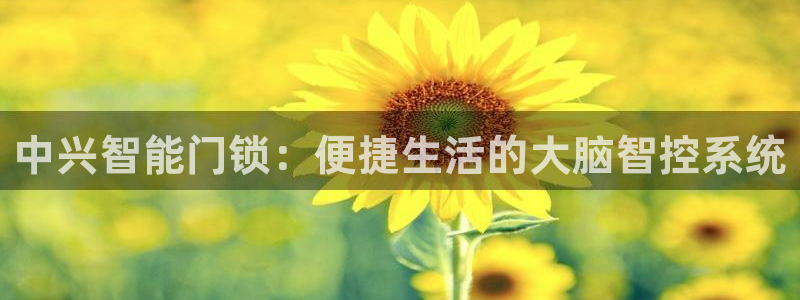 利记官网电脑版：中兴智能门锁：便捷生活的大脑智控系统