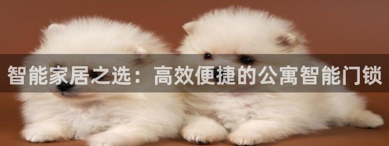 利记亚洲官网