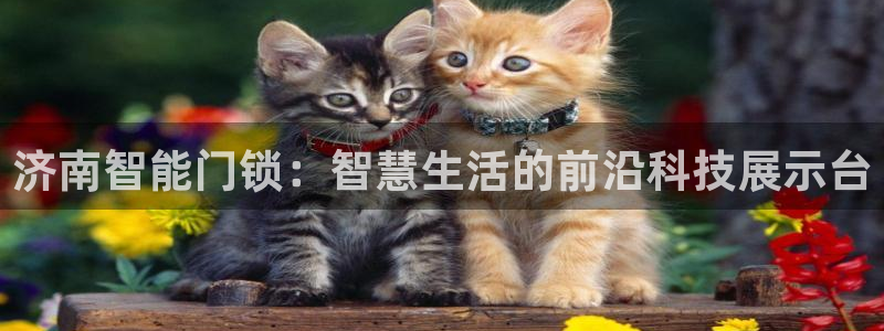 利记体育投注官网：济南智能门锁：智慧生活的前沿科技展示台