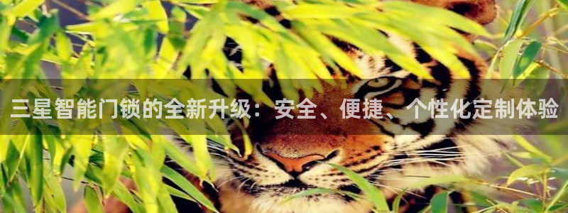 sbo利记体育官网：三星智能门锁的全新升级：安全、便捷、个性