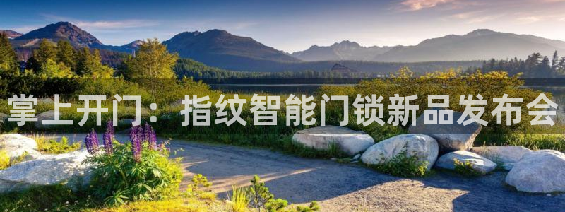 利记二手车行官网：掌上开门：指纹智能门锁新品发布会