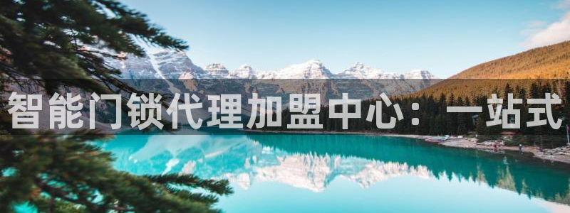 利记集团官网：智能门锁代理加盟中心：一站式