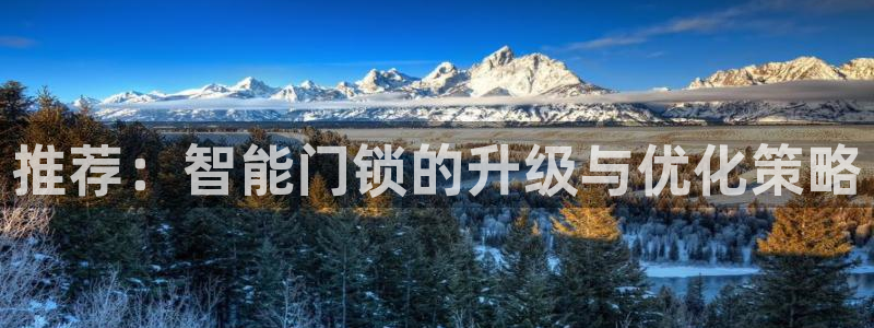 利记娱乐网唯一官网：推荐：智能门锁的升级与优化策略