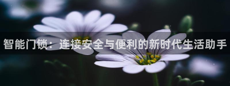 利记集团官网：智能门锁：连接安全与便利的新时代生活助手