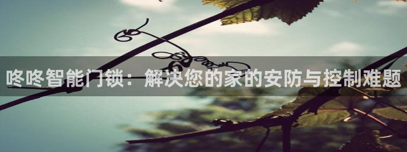 利记 官网：咚咚智能门锁：解决您的家的安防与控制难题