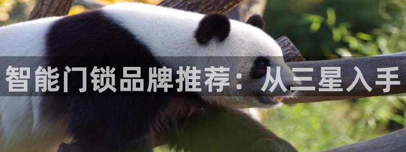 利记彩票平台官网：智能门锁品牌推荐：从三星入手