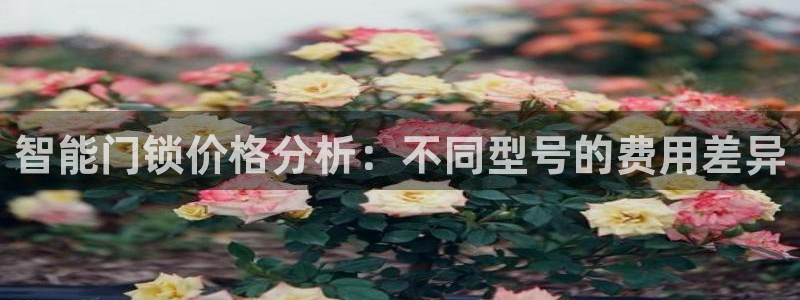 利记亚洲官网：智能门锁价格分析：不同型号的费用差异