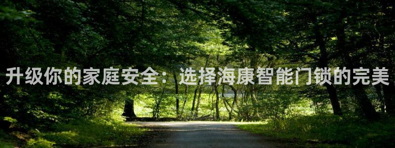 利记体育平台官网：升级你的家庭安全：选择海康智能门锁的完美