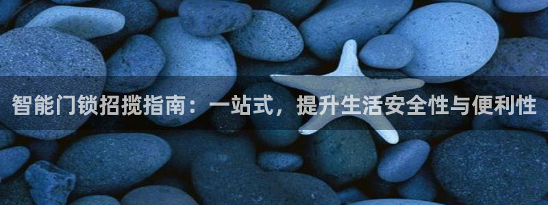 利记真的官网：智能门锁招揽指南：一站式，提升生活安全性与便利