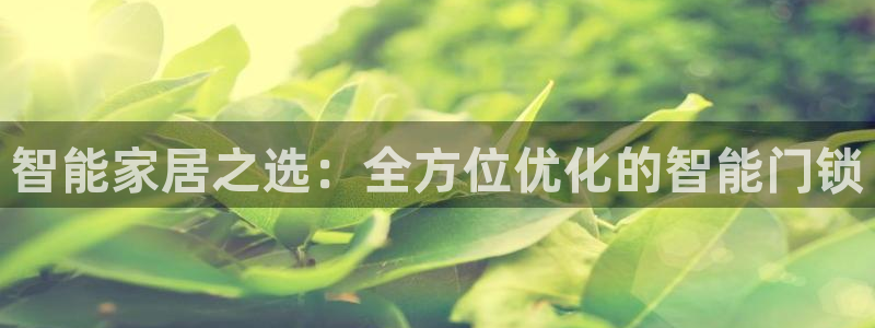 利记官网葡京投注网址：智能家居之选：全方位优化的智能门锁