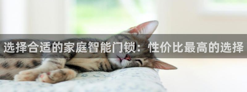 香港利记集团官网：选择合适的家庭智能门锁：性价比最高的选择