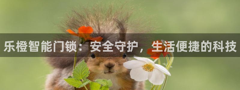 万利记官网电话：乐橙智能门锁：安全守护，生活便捷的科技