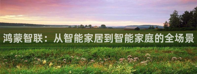 利记体育官网：鸿蒙智联：从智能家居到智能家庭的全场景