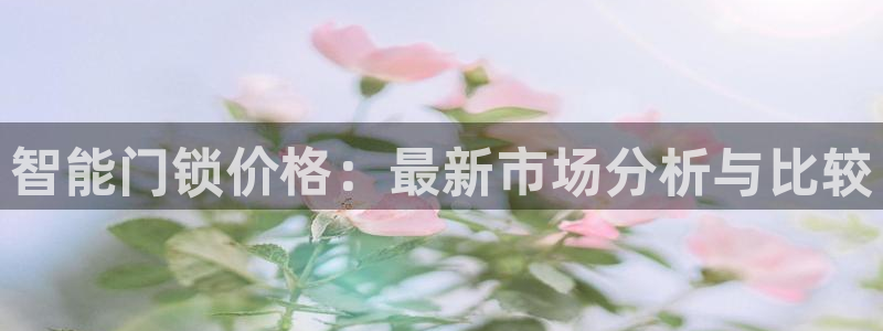 利记真的官网：智能门锁价格：最新市场分析与比较