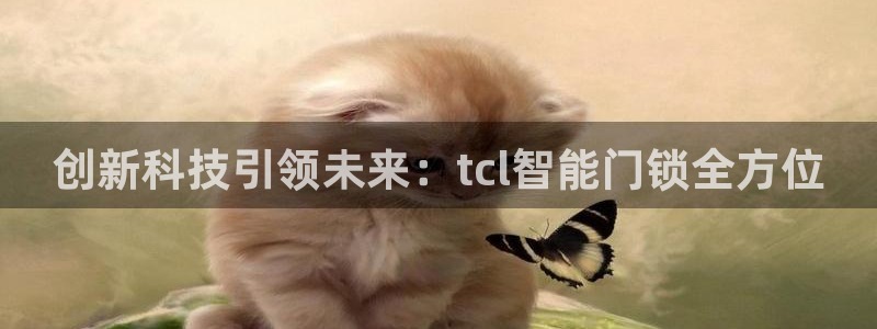 香港利记集团官网旗舰店：创新科技引领未来：tcl智能门锁全方