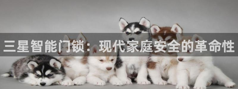 利记正式官网：三星智能门锁：现代家庭安全的革命性