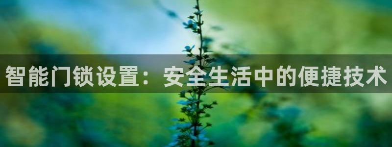 新利记官网：智能门锁设置：安全生活中的便捷技术