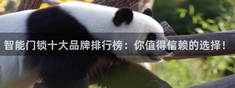 利记广告联盟官网：智能门锁十大品牌排行榜：你值得信赖的选择！