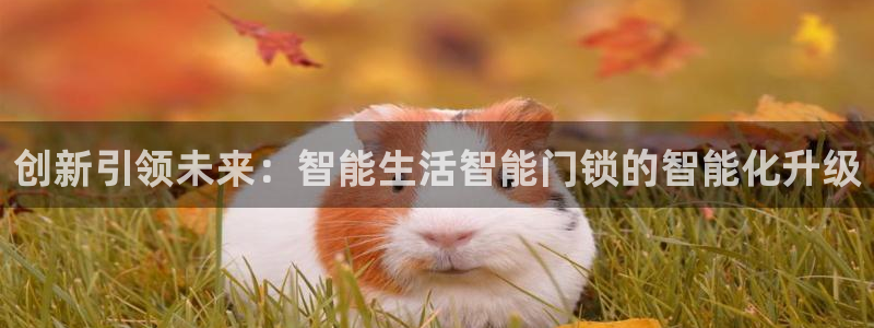 利记官网a：创新引领未来：智能生活智能门锁的智能化升级