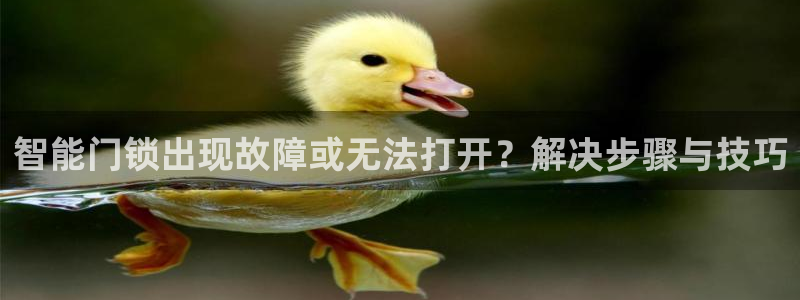 利记官网地址