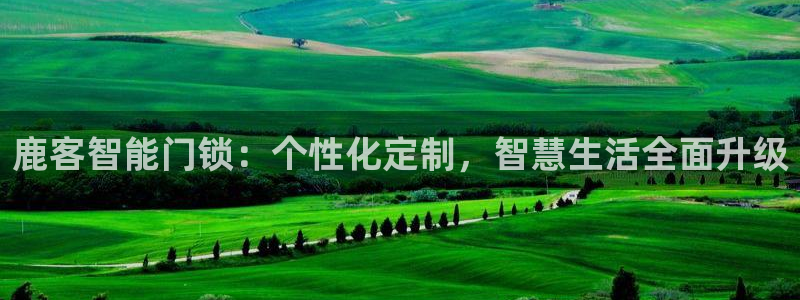 利记平台官网：鹿客智能门锁：个性化定制，智慧生活全面升级