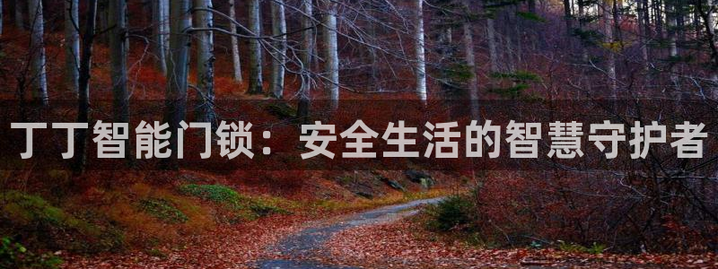 利记手机官网bb电子平台官方：丁丁智能门锁：安全生活的智慧守