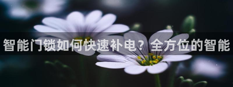利记手机官网葡京备用：智能门锁如何快速补电？全方位的智能