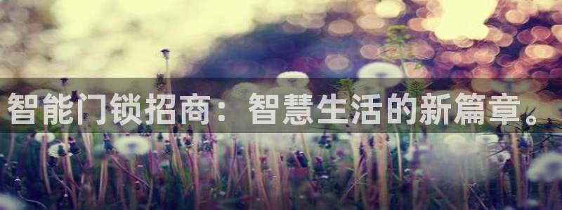 利记官网是多少：智能门锁招商：智慧生活的新篇章。