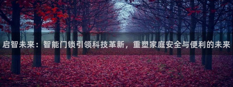 利记官网入口：启智未来：智能门锁引领科技革新，重塑家庭安全与
