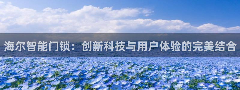 万利记官网：海尔智能门锁：创新科技与用户体验的完美结合