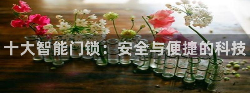 利记官网葡京投注网址：十大智能门锁：安全与便捷的科技