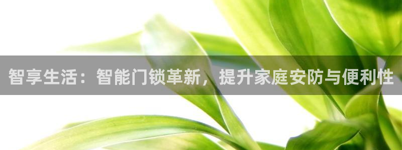 利记官网注册网：智享生活：智能门锁革新，提升家庭安防与便利性