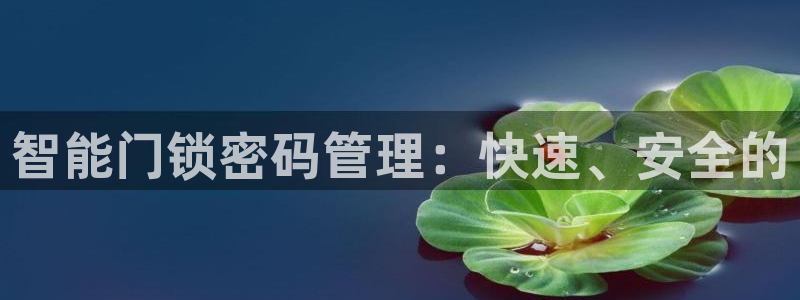 利记坊官网登录：智能门锁密码管理：快速、安全的